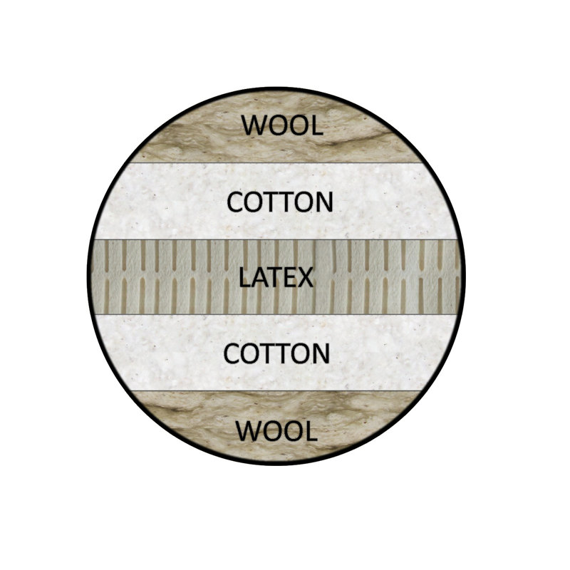 Bio Sleep Concept 8'' Latex Futon Mattress FutonMattress & Reviews